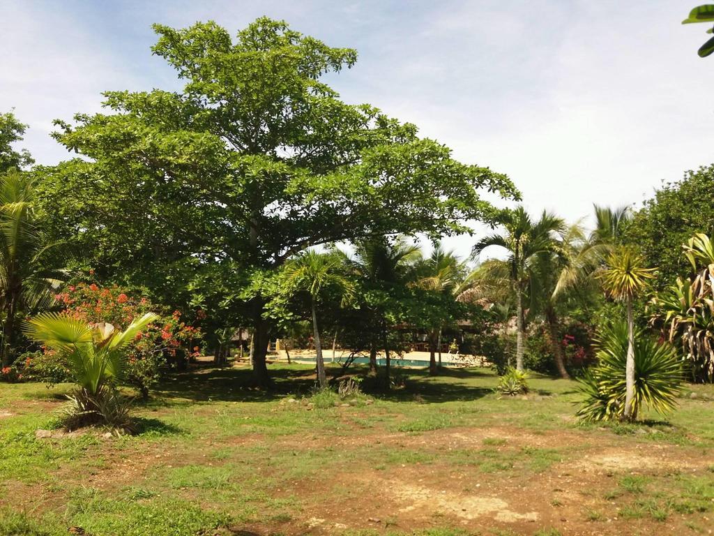 Kalipayan Beach Resort & Atlantis Dive Center Panglao Exterior photo