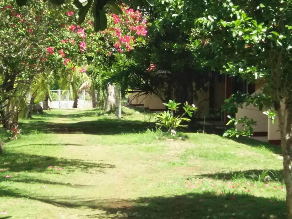 Kalipayan Beach Resort & Atlantis Dive Center Panglao Exterior photo