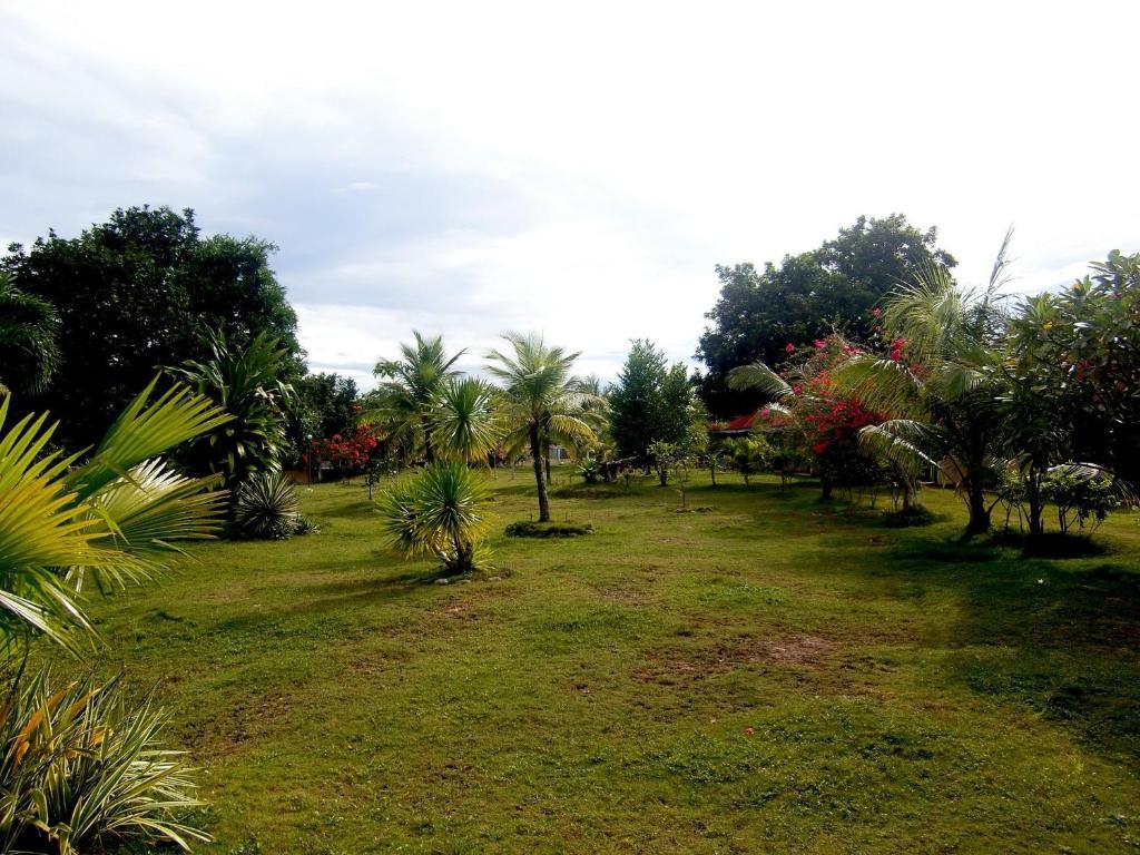 Kalipayan Beach Resort & Atlantis Dive Center Panglao Exterior photo