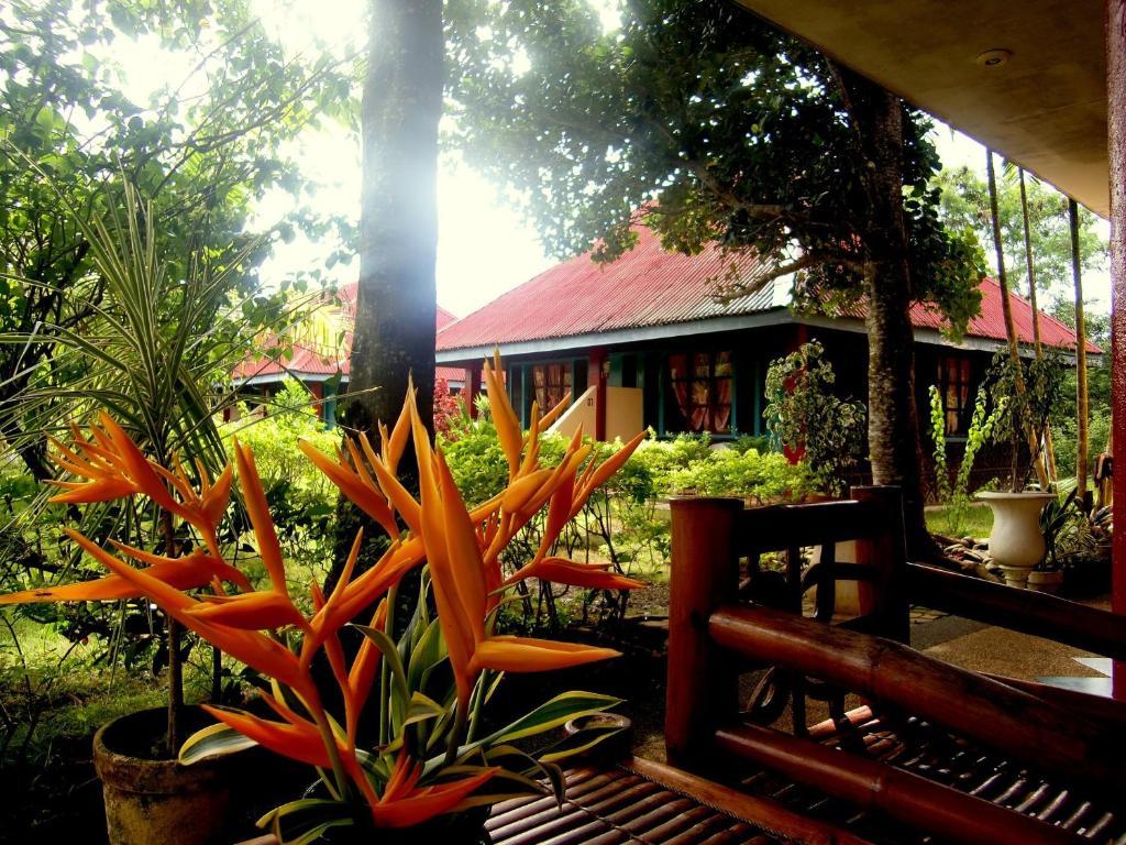 Kalipayan Beach Resort & Atlantis Dive Center Panglao Exterior photo