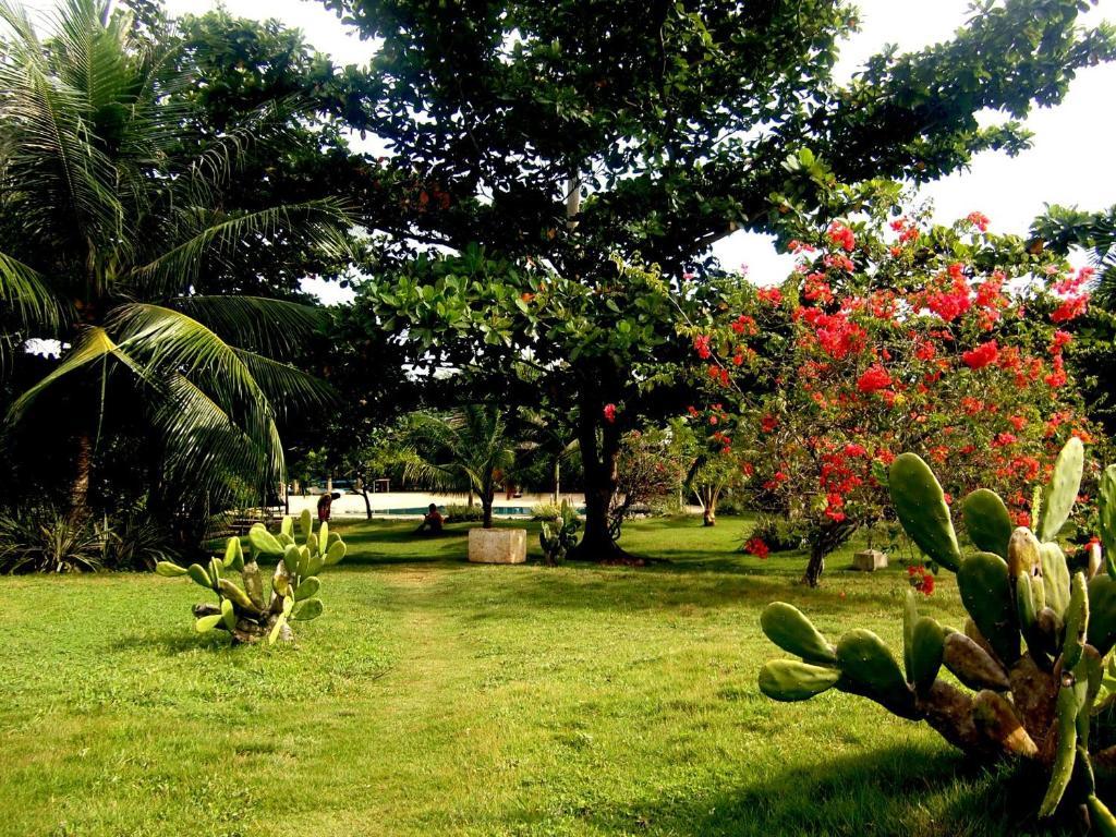 Kalipayan Beach Resort & Atlantis Dive Center Panglao Exterior photo