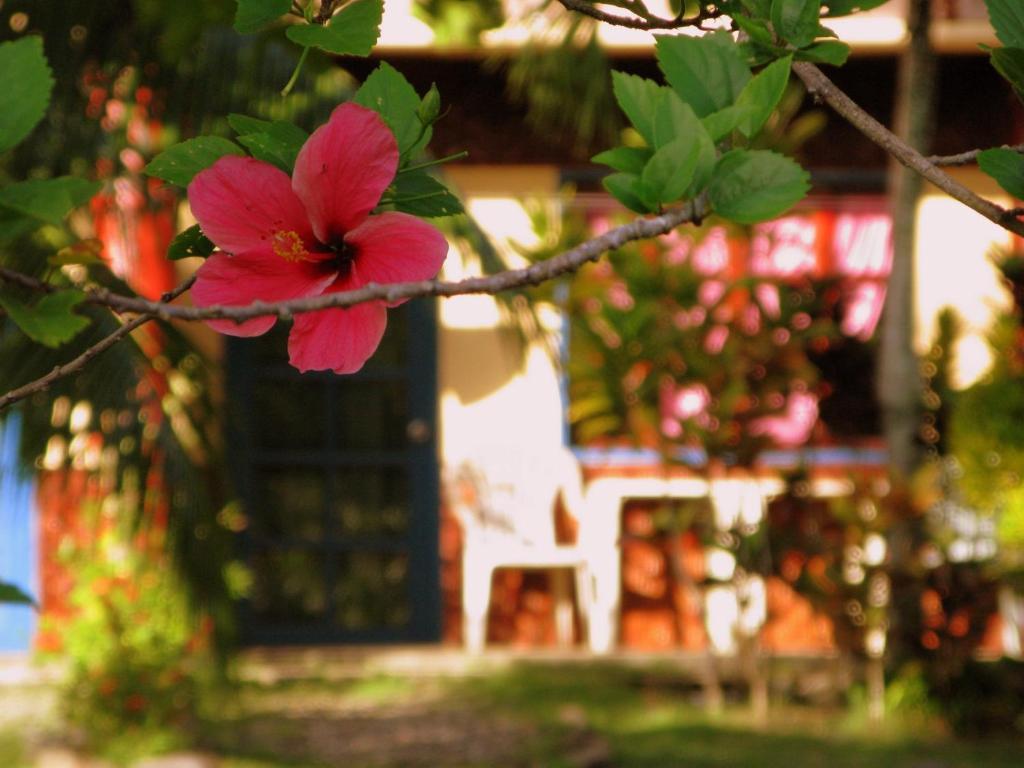 Kalipayan Beach Resort & Atlantis Dive Center Panglao Exterior photo