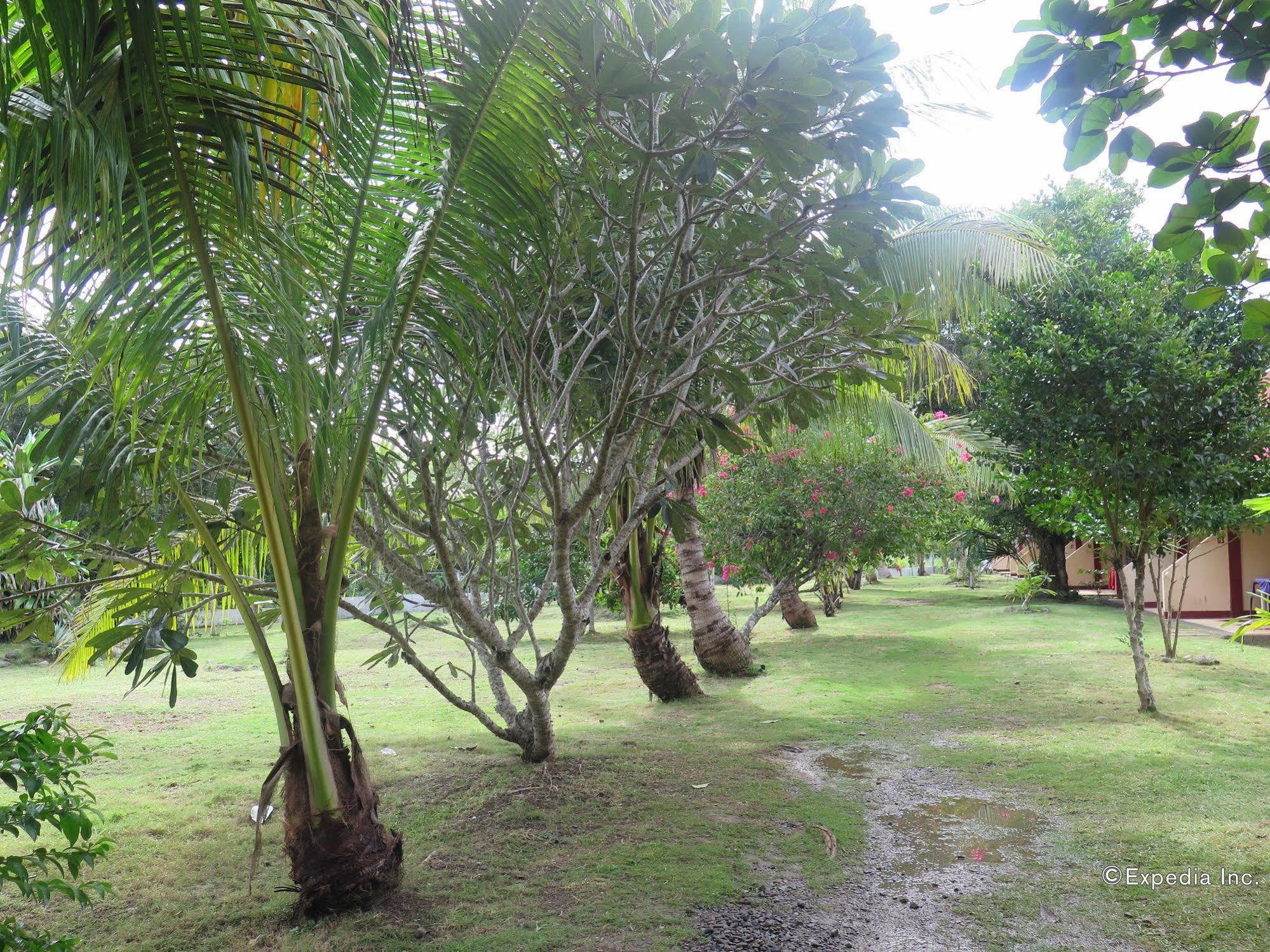 Kalipayan Beach Resort & Atlantis Dive Center Panglao Exterior photo