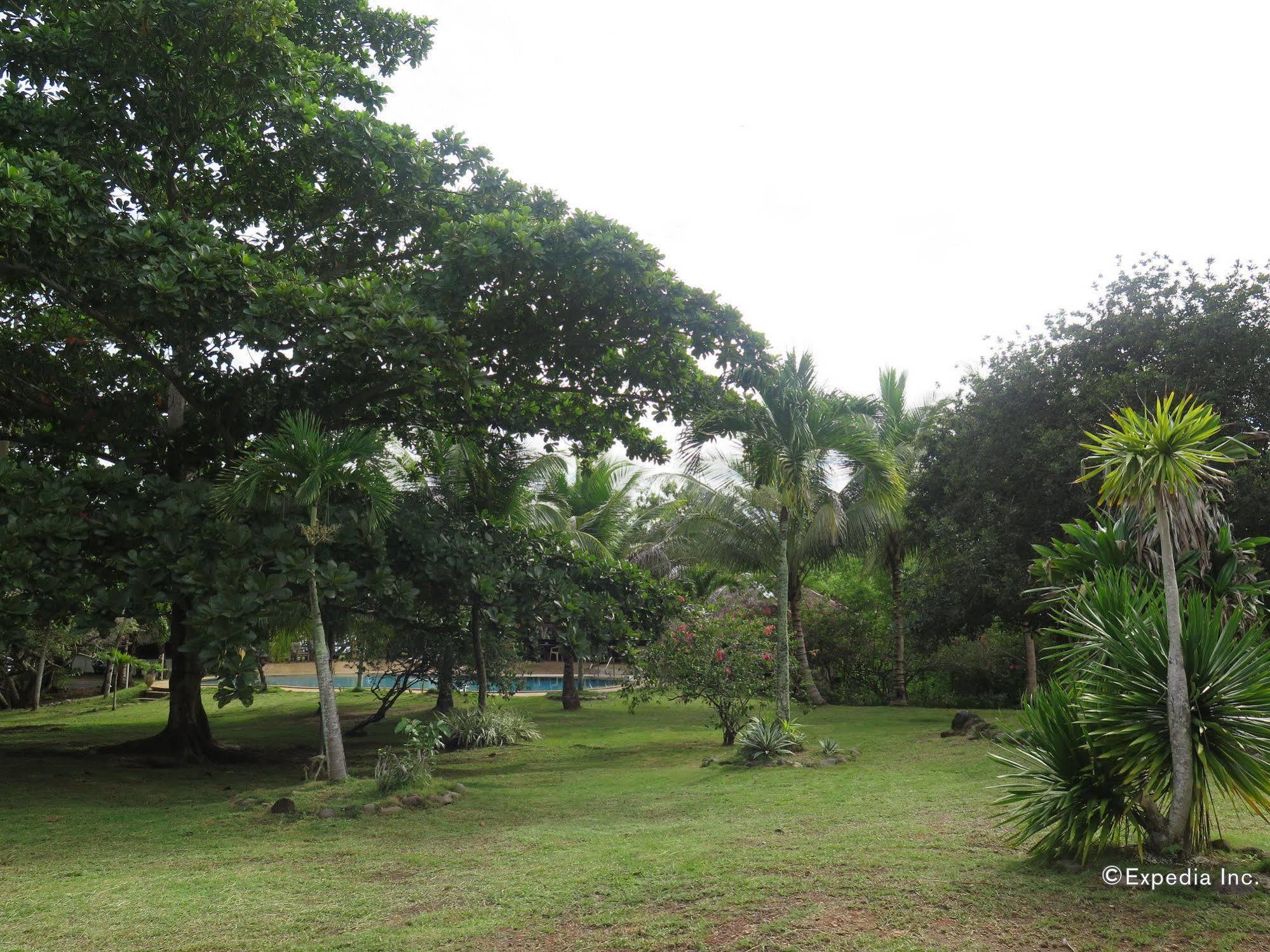 Kalipayan Beach Resort & Atlantis Dive Center Panglao Exterior photo